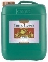 Canna Terra Flores