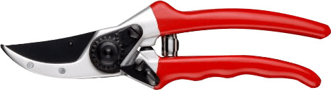 Connex FLOR70390