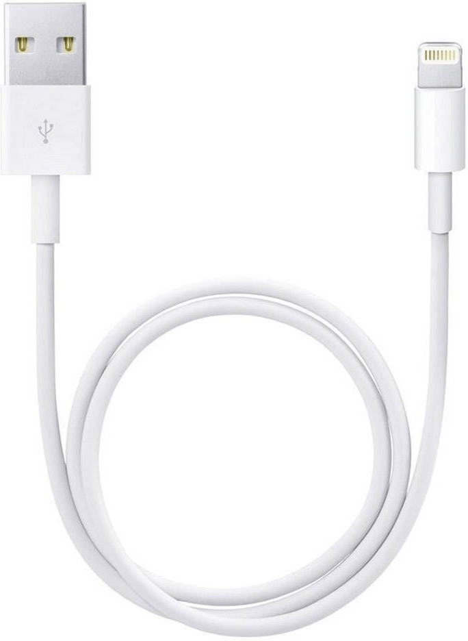 Apple Câble Lightning vers USB (0,5 m)