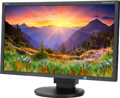 NEC Display Solutions MultiSync EA234WMi black