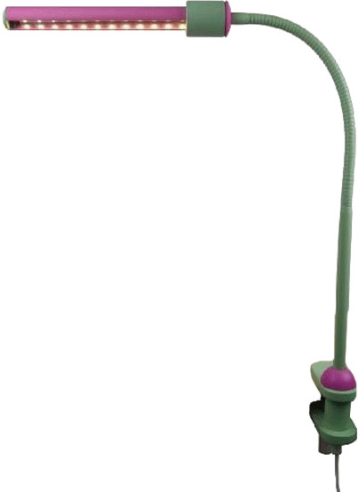 Niermann Lampe LED avec pince de fixation