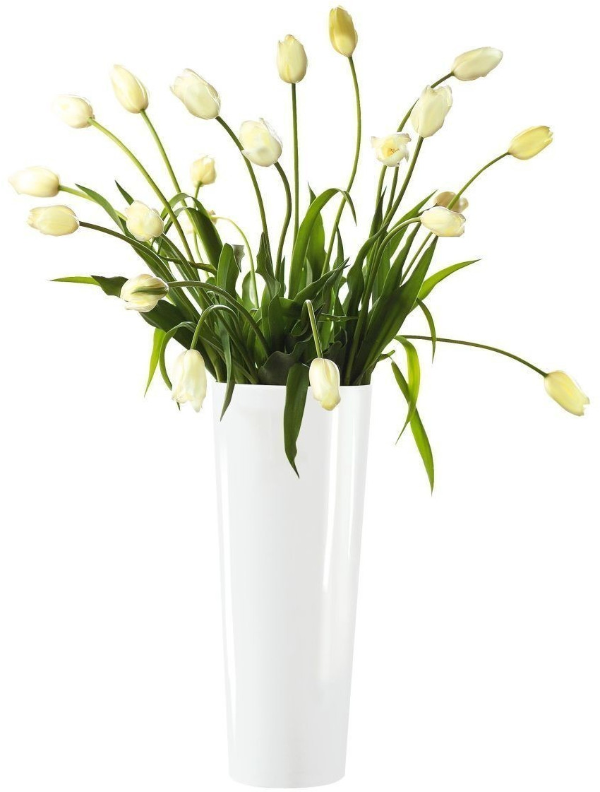 ASA Mono Gloss (45 cm)