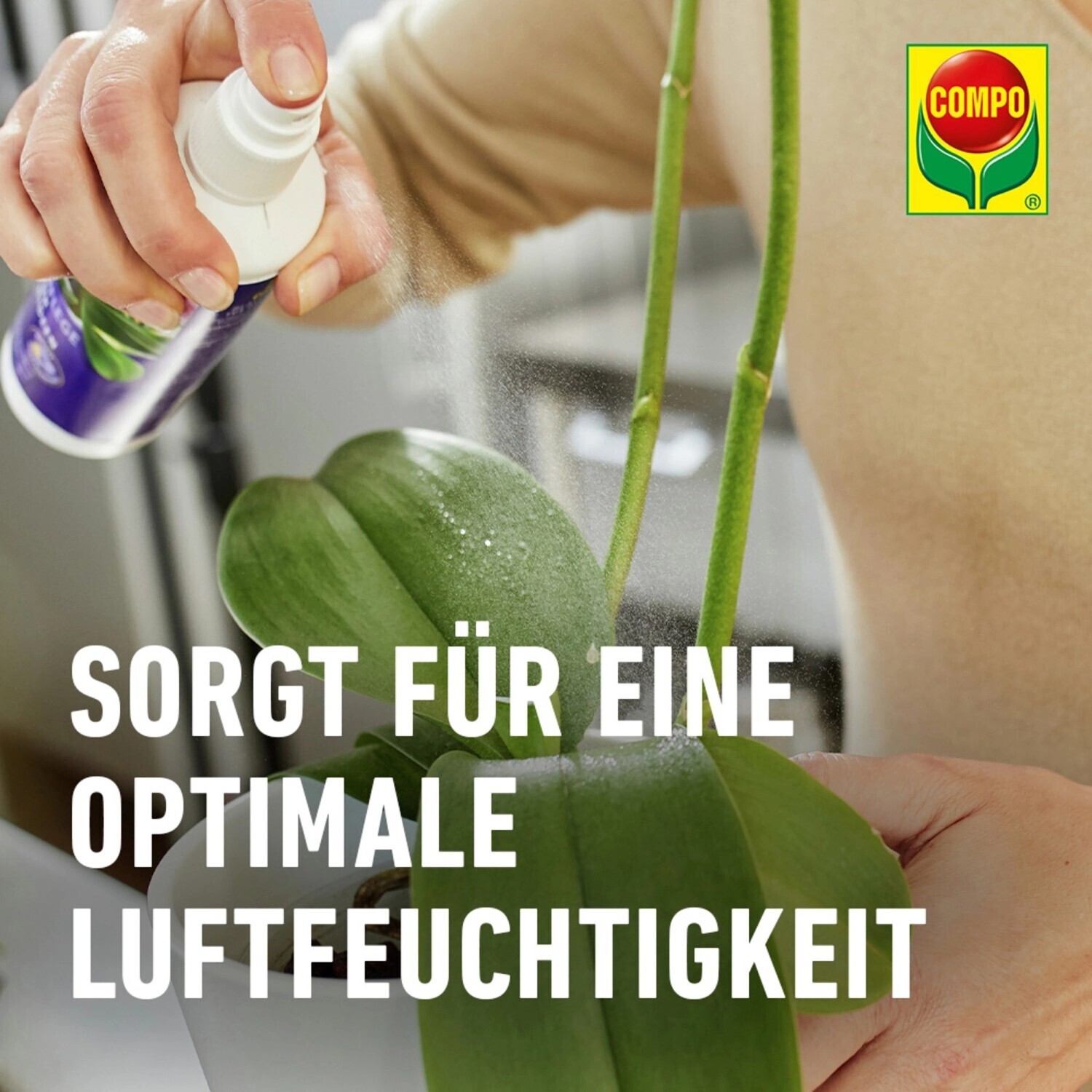 COMPO Blattpflege fr Orchideen 250 ml ab 5.49  | Vergleiche 9 Angebote  auf idealo.de