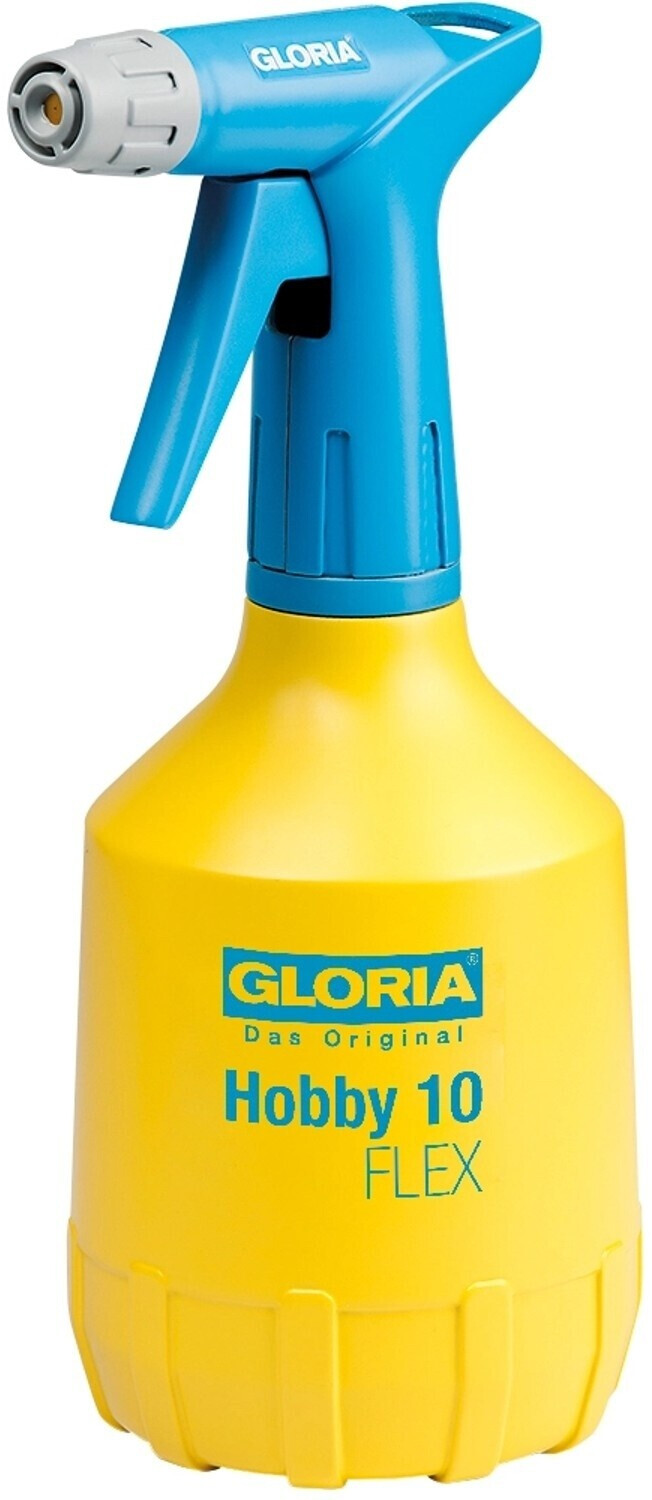 Gloria Hobby 10