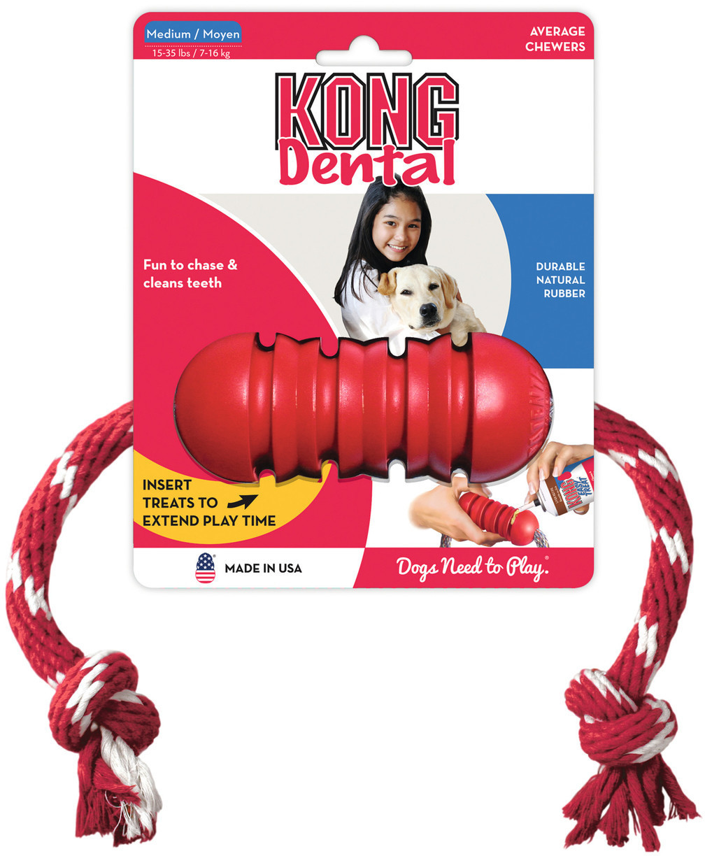 Kong Dental Kong M
