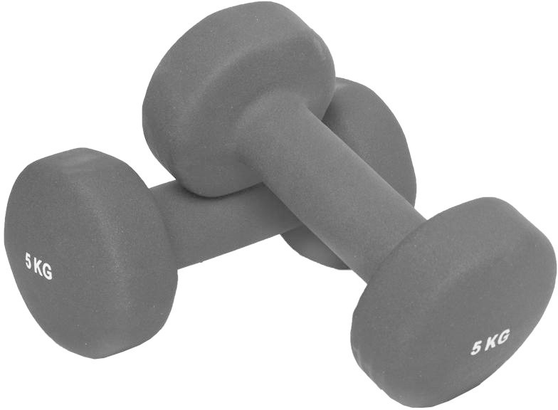 Gorilla Sports Haltères fitness en vinyle 10 kg (2 x 5,0)