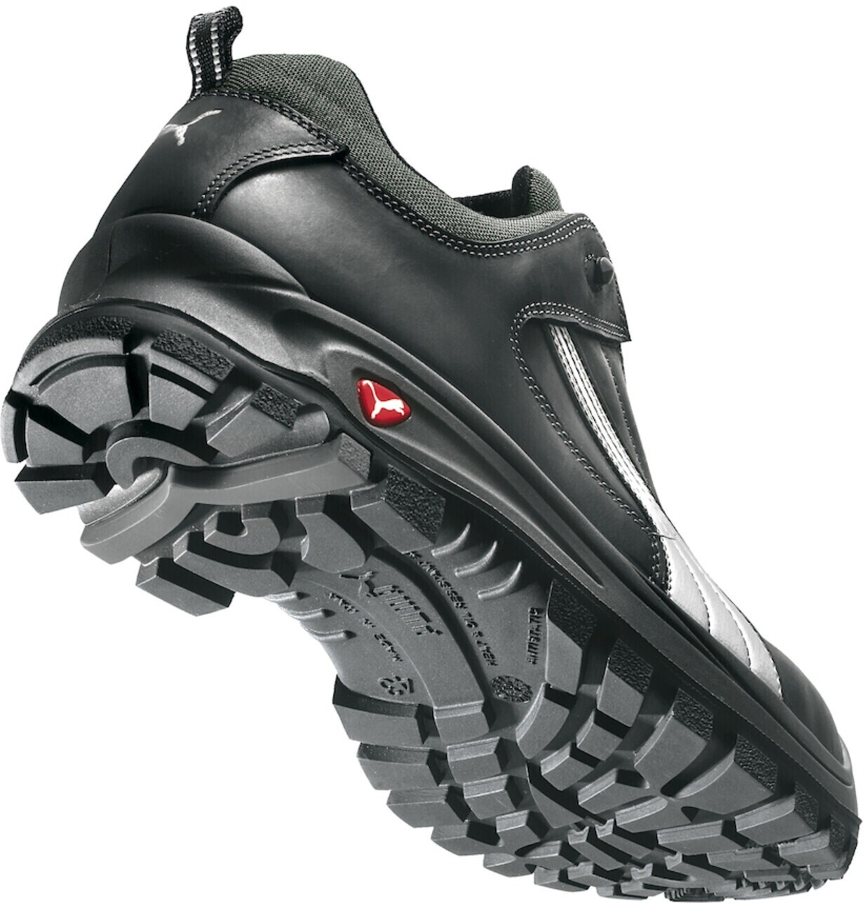 puma cascades