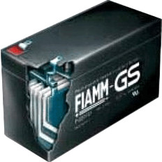 Fiamm FG2M009 12V 200Ah Blei-Akku / AGM Batterie