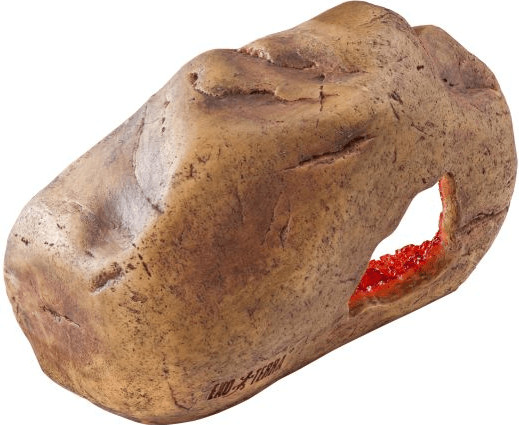 Exo Terra Cachette décorative reptiles M