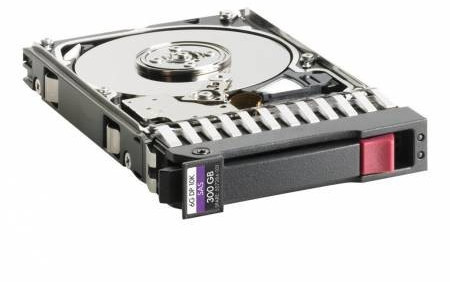 HPE SAS 300 Go (E2D55A)