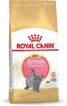 Royal Canin Croquettes pour chat 10kg Royal Canin Croquettes pour chat 10kg