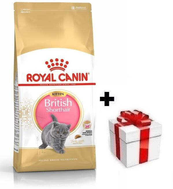 Royal Canin Croquettes pour chat 10kg Royal Canin Croquettes pour chat 10kg