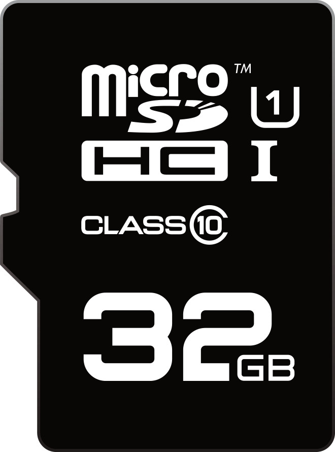 Emtec microSDHC Mini Jumbo Extra 32 Go Classe 10 (ECMSDM32GHC10)