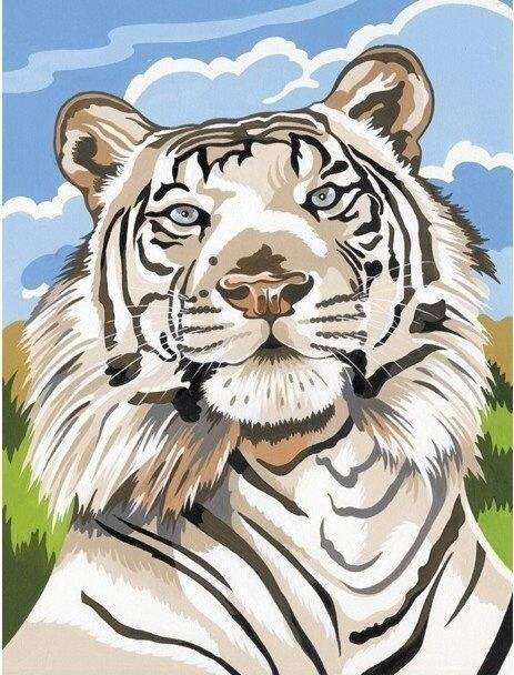 Reeves Medium Painting by Numbers - White Tiger