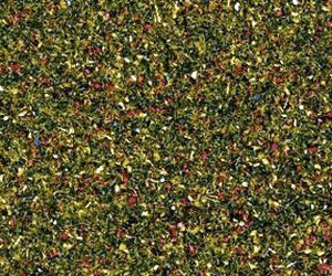 Noch Herbe avec fleurs 20 g (08330)