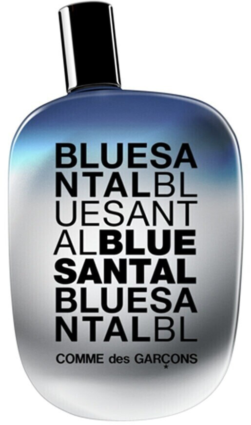 Comme des Garcons Blue Santal Eau de Parfum 100 ml desde 119 99 Compara precios en idealo