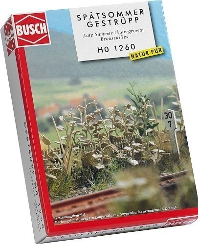 Busch Model 1260