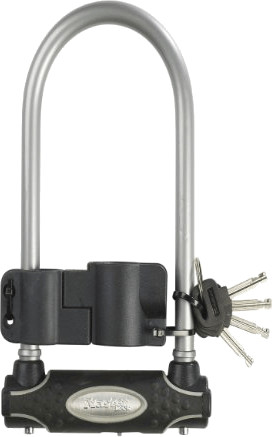 Master Lock 8195 280 x 110 mm argent
