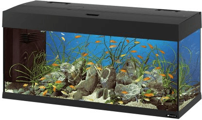 Ferplast Dubai 100 (190 L) - noir