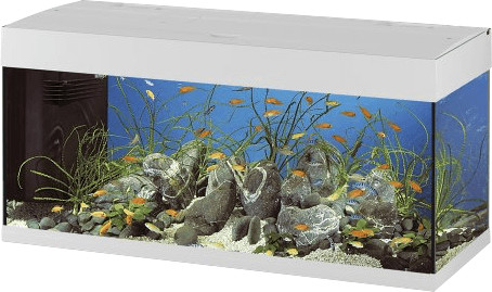 Ferplast Dubai 120 (240 L) - blanc