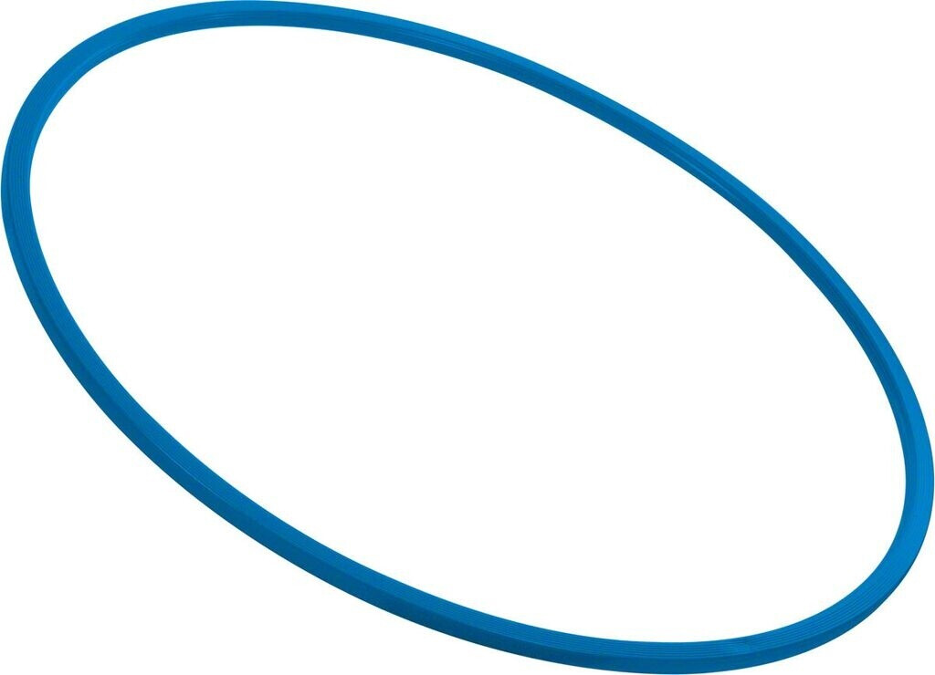 Sport-Tec Gymnastikreifen aus Kunststoff ab 8,95 € | Preisvergleich bei idealo.de