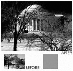 B+W UV-IR (486) 58mm