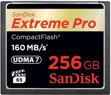 SanDisk CompactFlash 256 Go Extreme Pro (SDCFXPS-256G-X46)