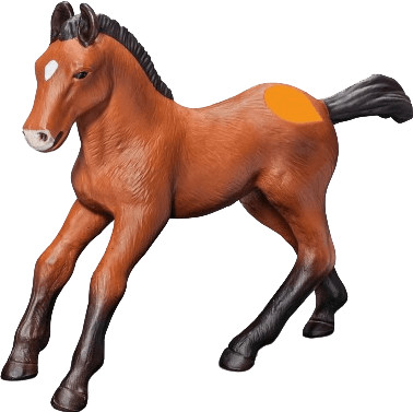 Ravensburger Poulain andalou tiptoi