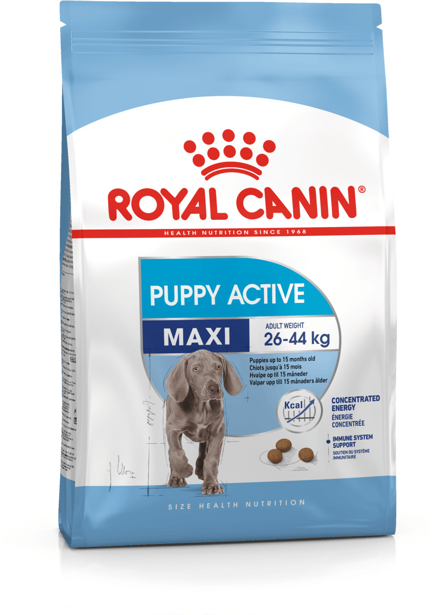 Royal Canin Croquettes pour chien Royal Canin Croquettes pour chien
