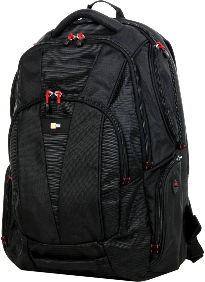 Case Logic Professional (BEBP215)