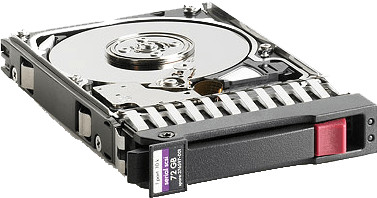 HPE SAS 300 Go (C8S61A)