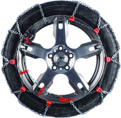 pewag Servo RS9 79