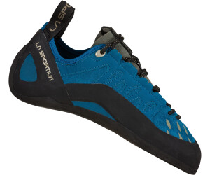 Sportive tarantulaces sale