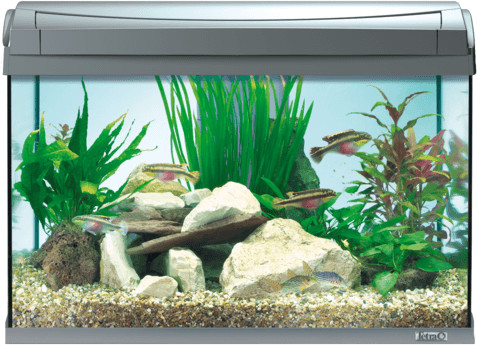 Tetra AquaArt LED 60 L