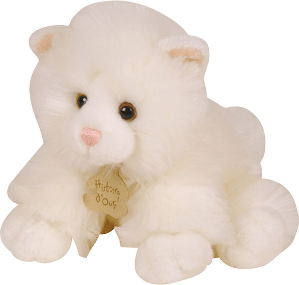 Histoire d'Ours Les Authentiques - Chat 20