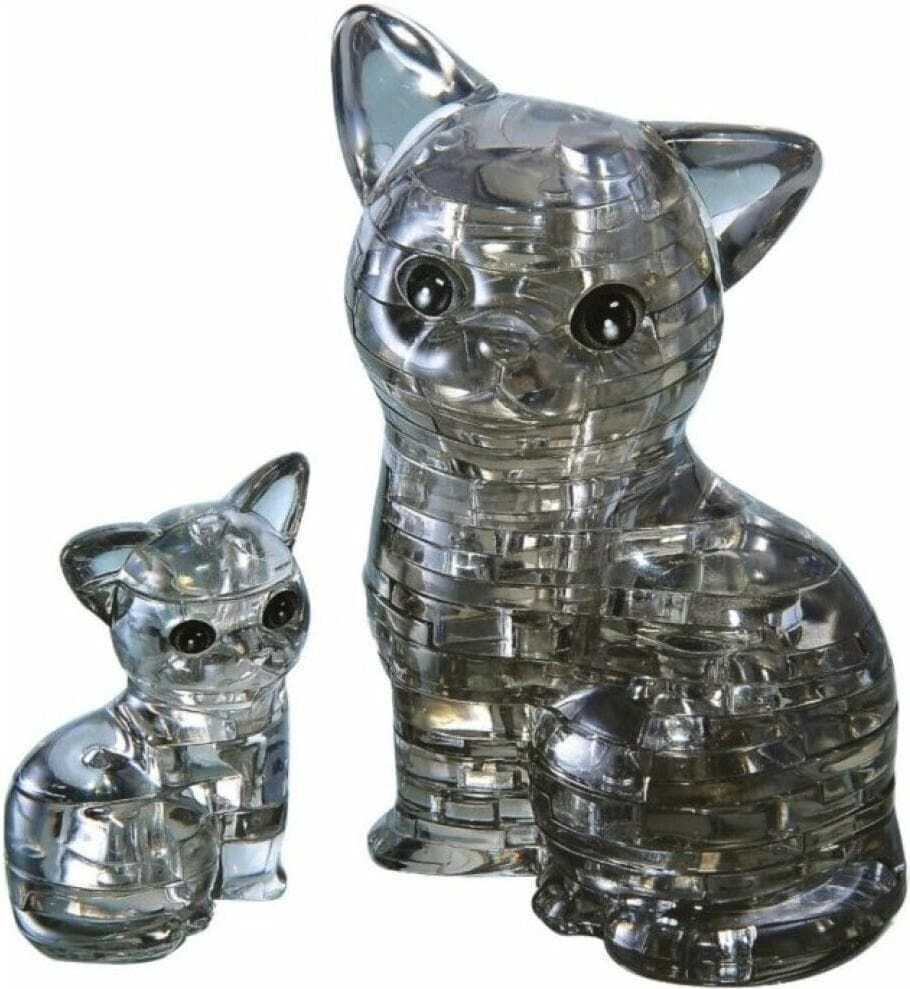 HCM Chat et chaton