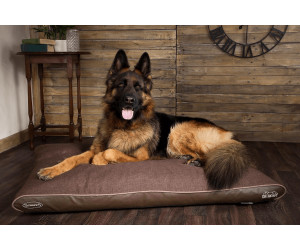 Buy Scruffs for Pets Hilton Memory Foam Mattress 100 x 70 x 6 cm