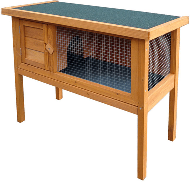 Foresta Clapier sur pieds (CL1007)