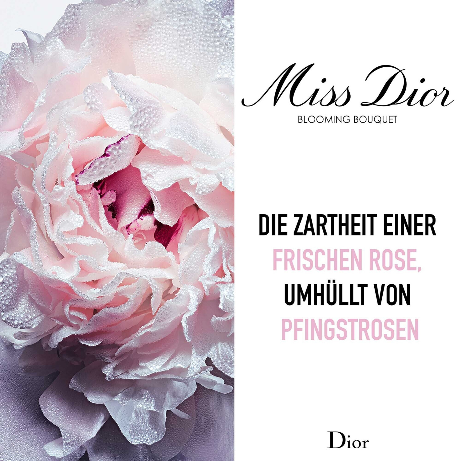 Miss dior blooming bouquet 50ml price deals