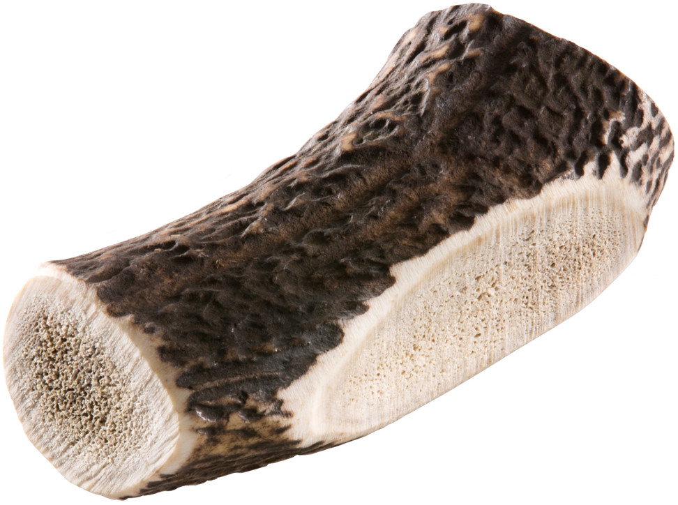 Chewies Friandises bois de cerf