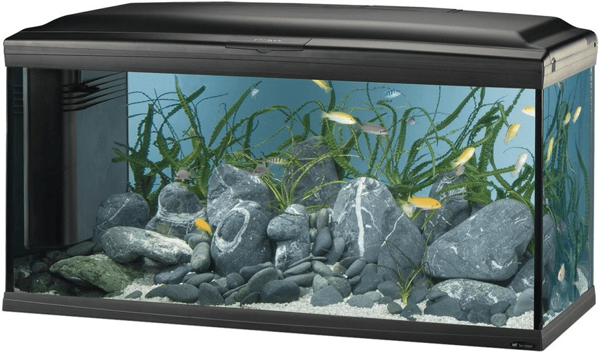 Ferplast Cayman 110 Professional