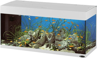 Ferplast Dubai 100 (190 L) - blanc