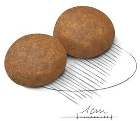 Royal Canin Croquettes pour chien 4 kg Royal Canin Croquettes pour chien 4 kg