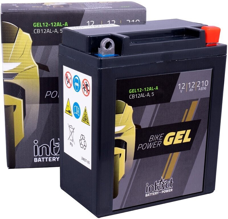 INTACT Gel-Power Gel-60B 12 V 60 Ah Gel-Batterie - ACCU-24