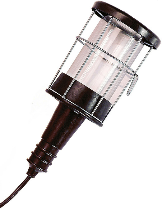 AS Schwabe 47250