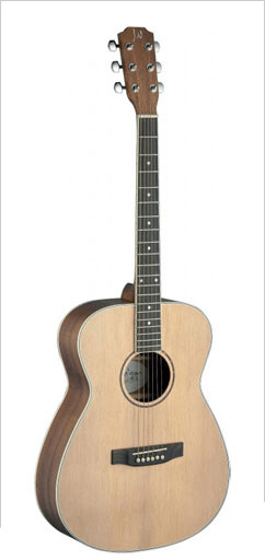 James Neligan Guitars Asyla ASY-A