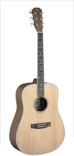 James Neligan Guitars Asyla ASY-D