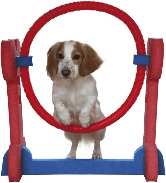 Rosewood Cerceau d'intérieur Agility Hoop