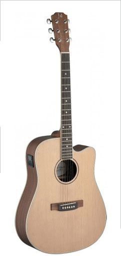 James Neligan Guitars Asyla ASY-DCE