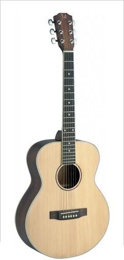 James Neligan Guitars Asyla ASY-AMINI